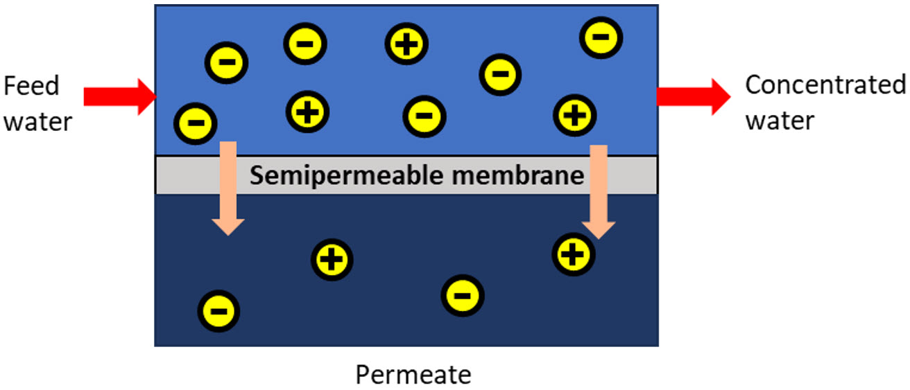 Reverse Osmosis (RO) scheme with the positive and negative ions that pass through the semipermeable membrane indicated with yellow point