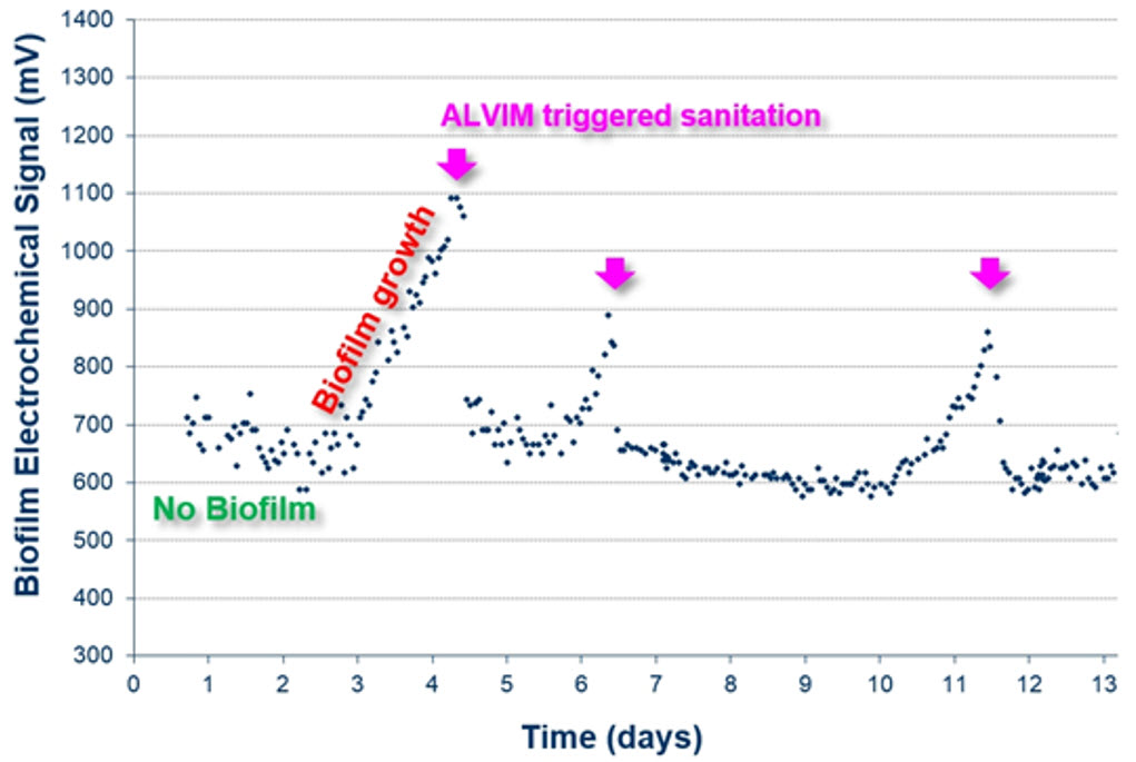 Biocide treatment optimization through biofilm monitoring