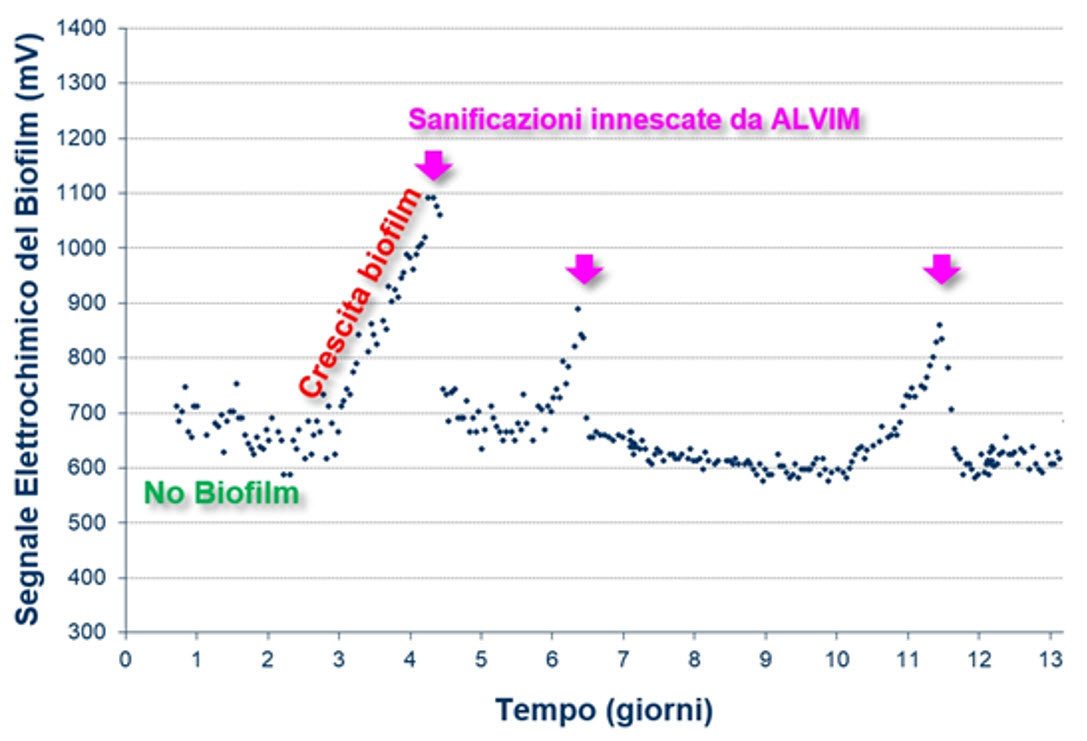 Ottimizzazione del trattamento biocida attraverso il monitoraggio del biofilm