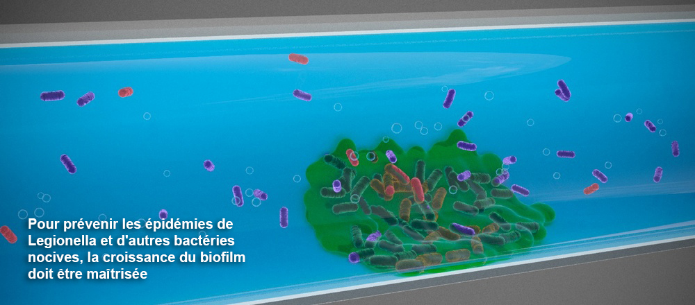 Afin de prévenir les épidémies de légionelles et d’autres bactéries nocives, la croissance du biofilm doit être maîtrisée.