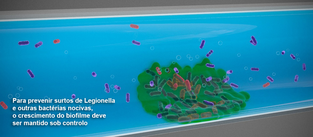 Para evitar surtos de legionella e outras bactérias nocivas, o crescimento do biofilme deve ser mantido sob controlo